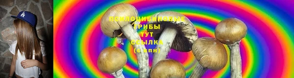 ПСИЛОЦИБИНОВЫЕ ГРИБЫ Семилуки