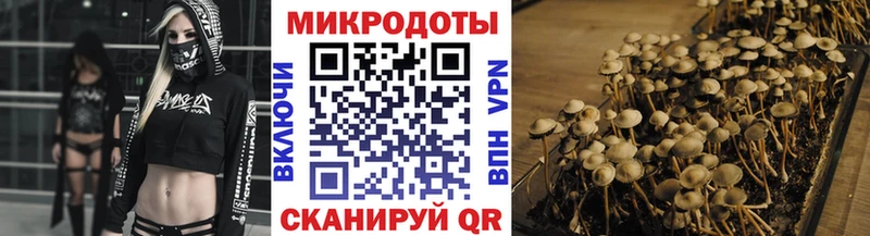 Галлюциногенные грибы мухоморы Южа