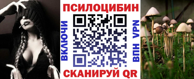 Псилоцибиновые грибы Cubensis  Южа 